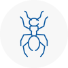 Ant Removals In Hove