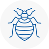 Bed Bug Extermination In Hove