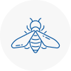 Bee Nest Removal Hove