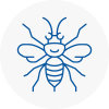Hove Hornet Nest Removals