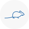 Mice Exterminators In Hove