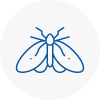 Moth Control Specialists In Hove