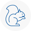 Hove Rodent Removals